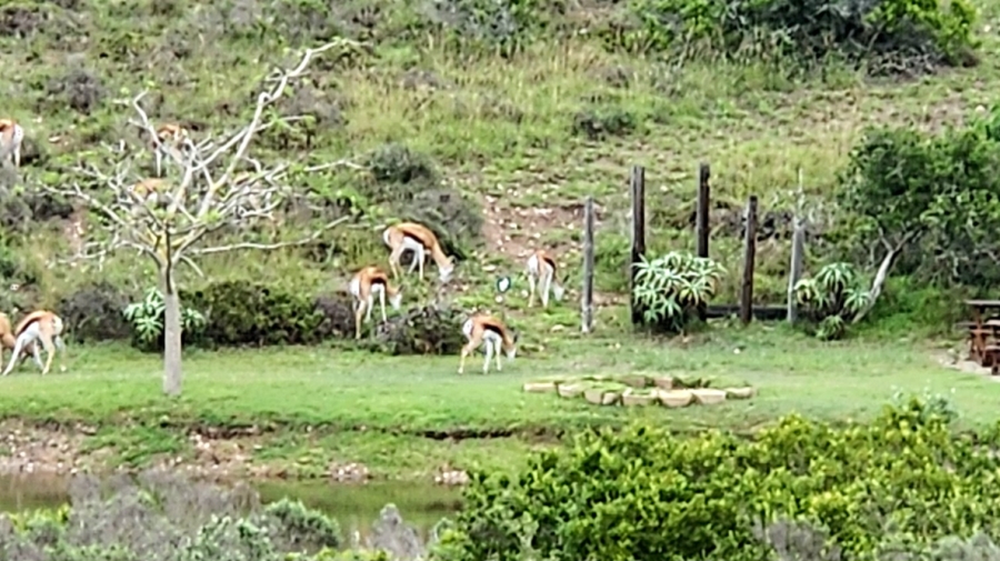 0 Bedroom Property for Sale in Num Num Cape Estate Western Cape